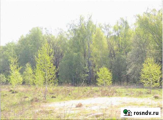 Участок ИЖС 8 сот. на продажу в Пущино Пущино - изображение 1