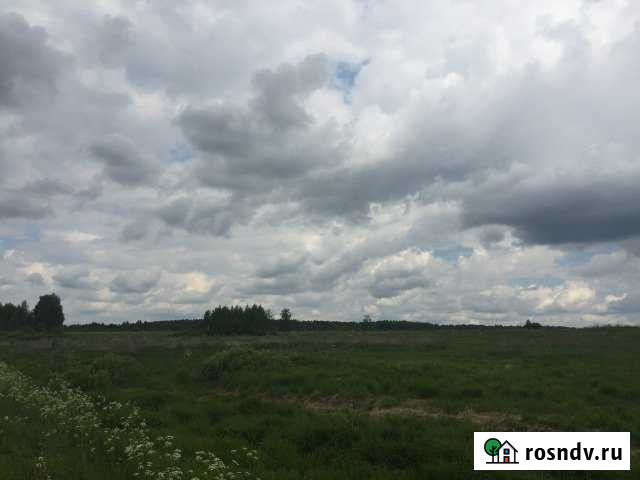 Участок ИЖС 864 сот. на продажу в Гавриловом-Яме Гаврилов-Ям - изображение 1