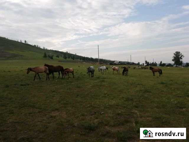 Участок СНТ, ДНП 120 сот. на продажу в Агинском Забайкальского края Агинское - изображение 1