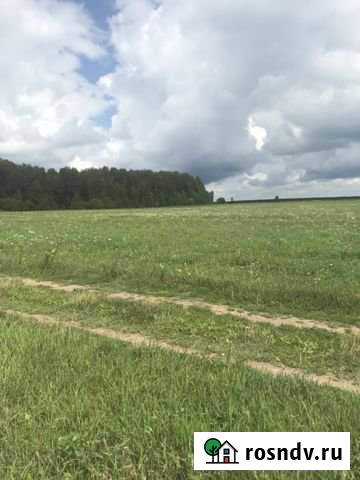 Участок СНТ, ДНП 100 сот. на продажу в Балабаново Балабаново - изображение 1