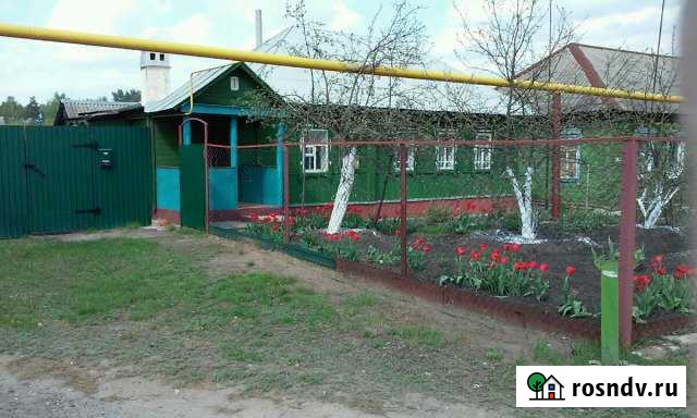 Дом 42.8 м² на участке 14 сот. на продажу в Новой Ляде Новая Ляда - изображение 1