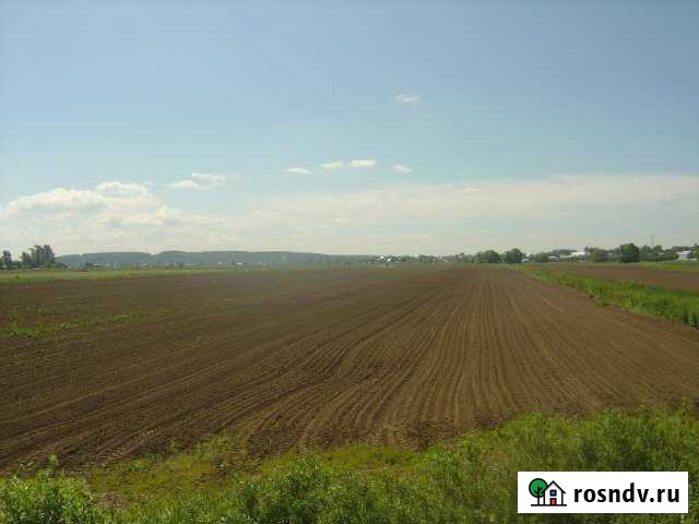 Участок СНТ, ДНП 10 сот. в аренду в Дзержинском Московской области Дзержинский - изображение 1