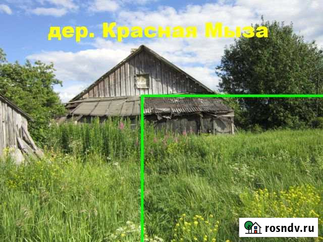 Участок ИЖС 12 сот. на продажу в Бегуницах Бегуницы - изображение 1