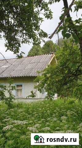 Дом 57 м² на участке 18 сот. на продажу на Лугах Луга - изображение 1