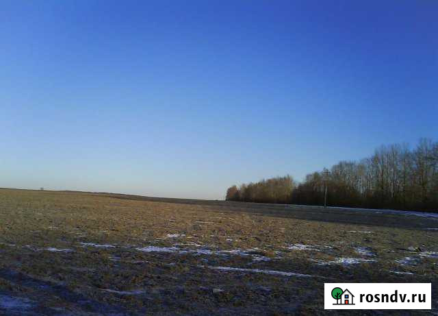 Участок СНТ, ДНП 271 сот. на продажу в Сосновом Бору Сосновый Бор - изображение 1