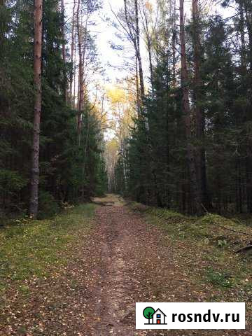 Участок ИЖС 6 сот. на продажу в Козлово Козлово - изображение 1