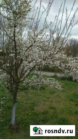 Участок СНТ, ДНП 800000 сот. на продажу в Кизляре Республики Дагестан Кизляр - изображение 1