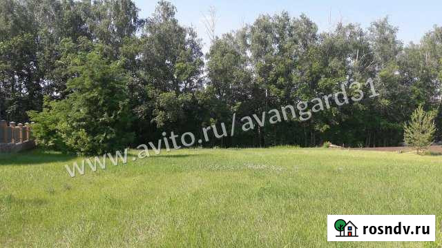 Участок ИЖС 15 сот. на продажу в Дубовом Дубовое - изображение 1