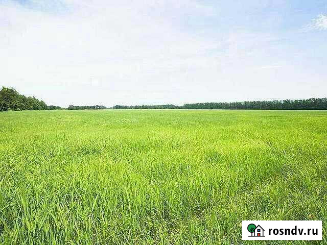 Участок СНТ, ДНП 740 сот. на продажу в Тюбуке Тюбук - изображение 1