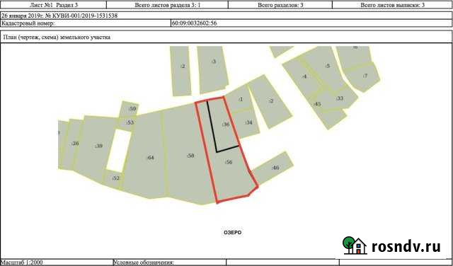 Участок ИЖС 50 сот. на продажу в Невеле Невель - изображение 1