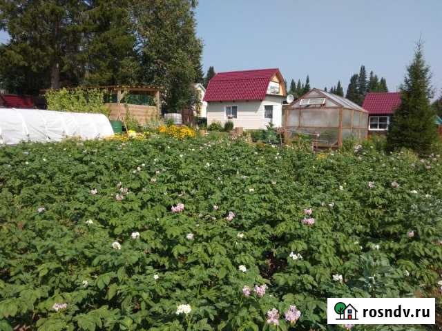 Дача 60 м² на участке 12 сот. на продажу в Памяти 13 Борцове Памяти 13 Борцов - изображение 1