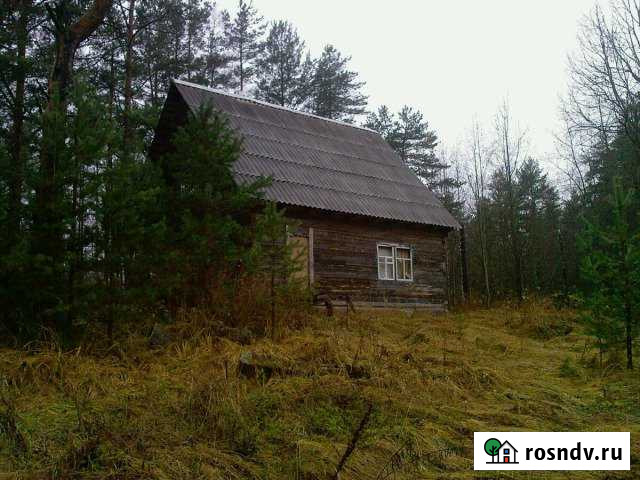 Дом 80 м² на участке 12 сот. на продажу в Выборге Выборг - изображение 1