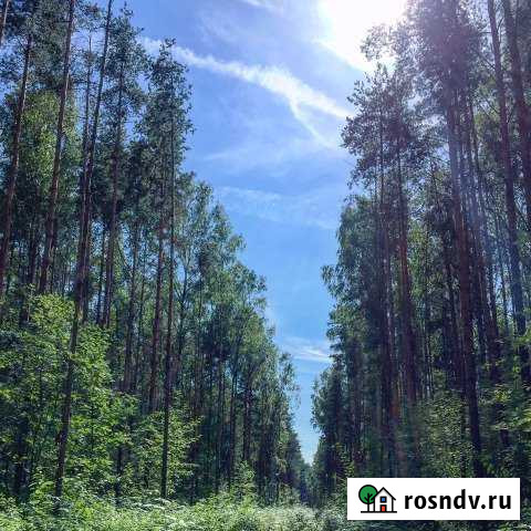 Участок ИЖС 12 сот. на продажу в Отрадном Ленинградской области Отрадное - изображение 1