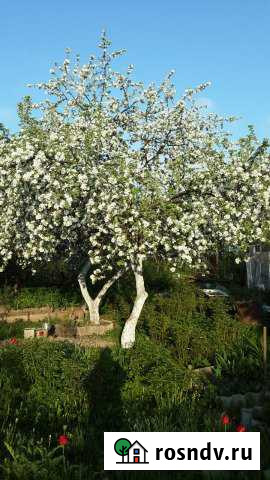 Участок СНТ, ДНП 6 сот. на продажу в Вырице Вырица - изображение 1