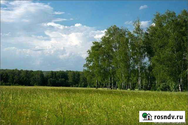 Участок СНТ, ДНП 58 сот. на продажу в Троицком Московской области Троицкое - изображение 1