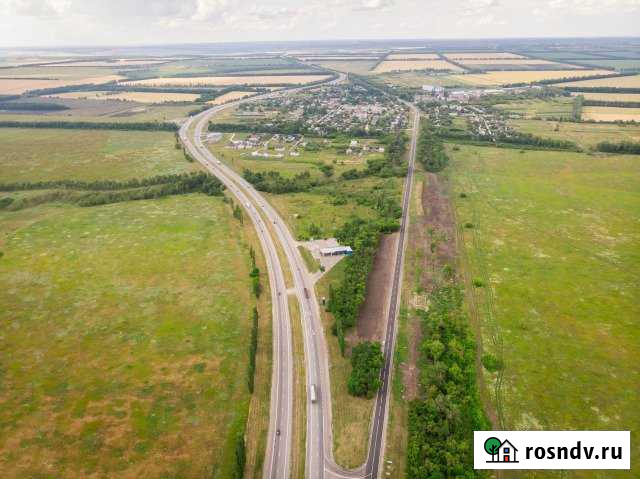 Участок СНТ, ДНП 290 сот. на продажу в Рамони Рамонь - изображение 1