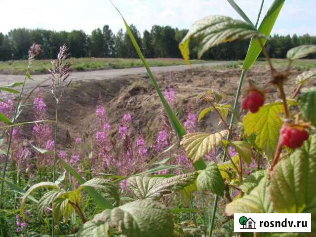 Участок ИЖС 21 сот. на продажу в Горбунках Горбунки - изображение 1