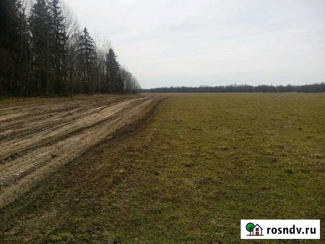 Участок СНТ, ДНП 165 сот. на продажу в Войсковицах Войсковицы - изображение 1