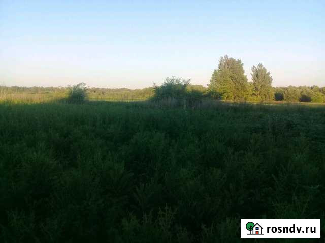 Дом 34 м² на участке 38 сот. на продажу в Колодезном Колодезный - изображение 1