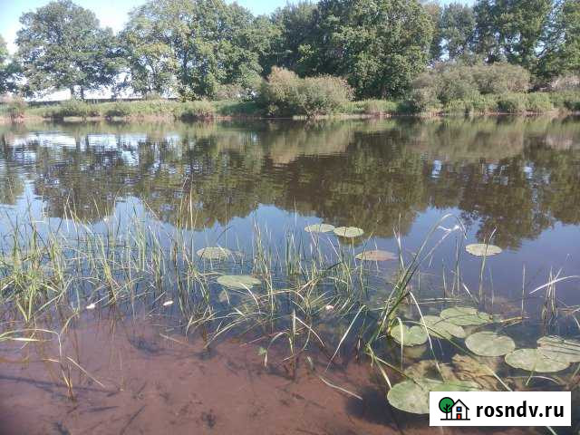 Участок ИЖС 8 сот. на продажу в Гвардейске Гвардейск - изображение 1