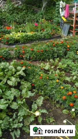 Дача 20 м² на участке 5 сот. на продажу в Междуреченске Самарской области Междуреченск - изображение 1