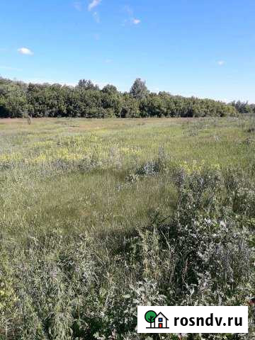 Участок ИЖС 10 сот. на продажу в Отрадном Отрадный - изображение 1