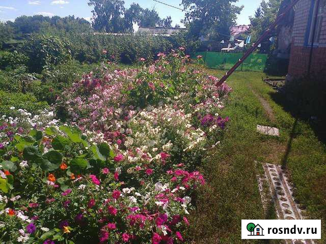 Дом 60 м² на участке 40 сот. на продажу в Краснозерском Краснозерское - изображение 1