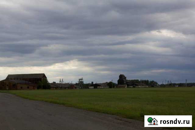 Участок ИЖС 3300 сот. на продажу в Ялуторовске Ялуторовск - изображение 1