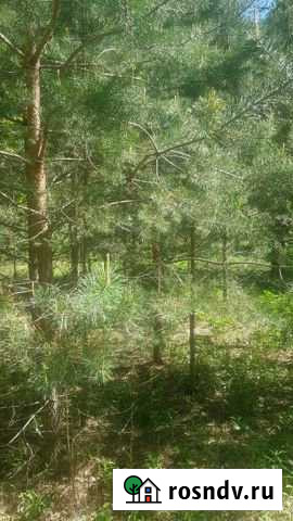 Участок ИЖС 50 сот. в аренду в Головино Головино - изображение 1