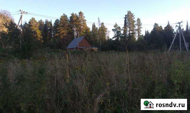 Участок ИЖС 10 сот. на продажу в Турочаке Турочак - изображение 1