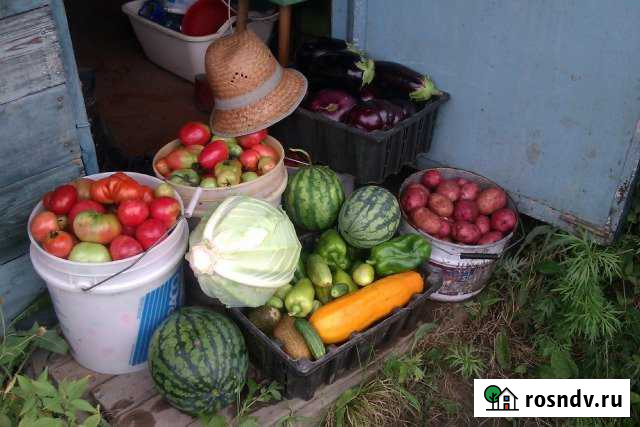 Дача 20 м² на участке 13.7 сот. на продажу в Приамурском Приамурский - изображение 1