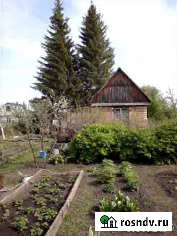 Дача 30 м² на участке 12 сот. на продажу в Павловске Алтайского края Павловск - изображение 1