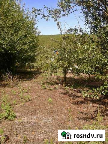 Дача 20 м² на участке 5 сот. на продажу в Новороссийске Новороссийск - изображение 1