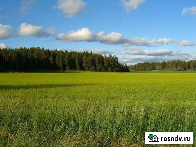 Участок СНТ, ДНП 7092 сот. на продажу в Оболенске Оболенск - изображение 1