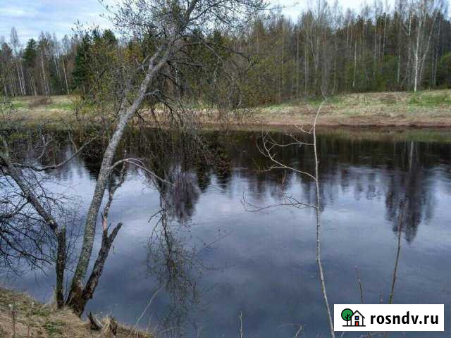 Участок ИЖС 46 сот. на продажу в Тихвине Тихвин - изображение 1