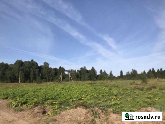 Участок СНТ, ДНП 8 сот. на продажу в Буревестнике Буревестник - изображение 1