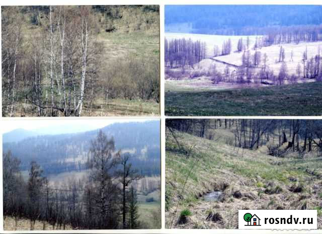 Участок СНТ, ДНП 700 сот. на продажу в Алтайском Алтайское - изображение 1