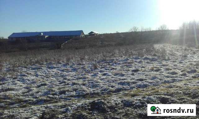 Участок ИЖС 34 сот. на продажу в Шексне Шексна - изображение 1