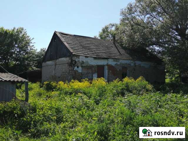 Дом 58 м² на участке 43 сот. на продажу в Рамони Рамонь - изображение 1