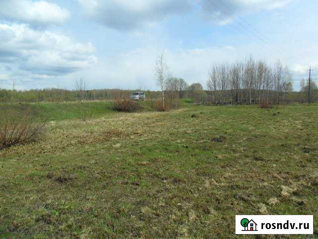 Участок СНТ, ДНП 1590 сот. на продажу в Опочке Опочка - изображение 1