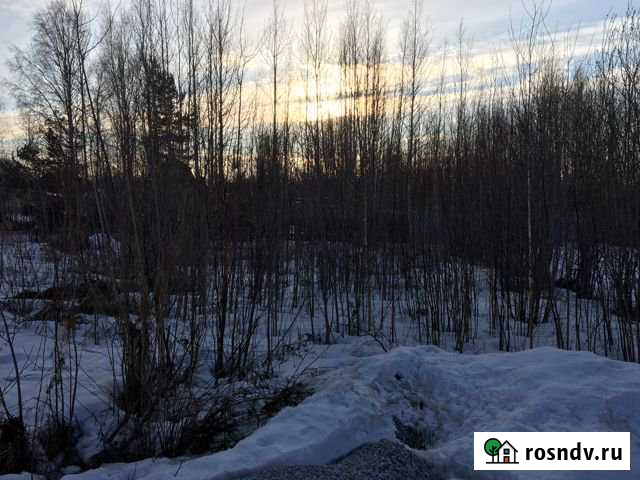 Участок СНТ, ДНП 12 сот. на продажу в Нефтеюганске Нефтеюганск - изображение 1