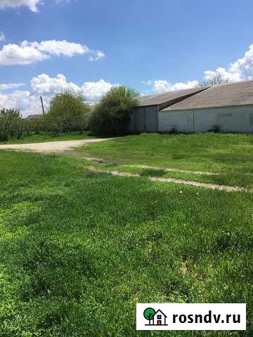 Птицефабрика Малка - изображение 1