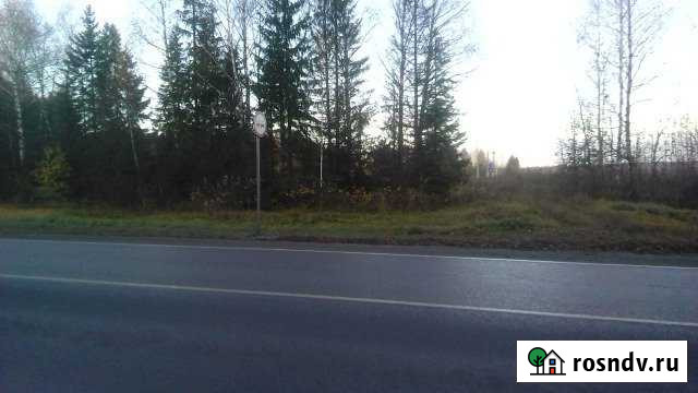 Участок СНТ, ДНП 227 сот. на продажу в Вахрушах Вахруши - изображение 1