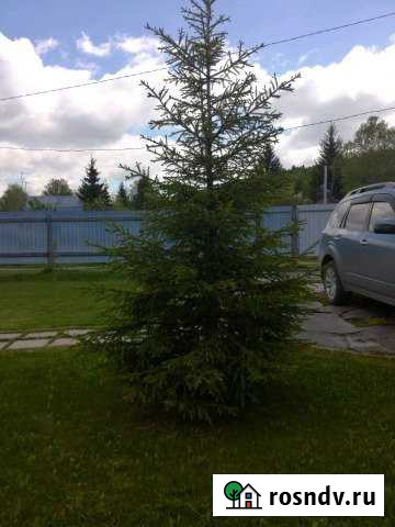 Дача 48 м² на участке 8 сот. на продажу в Бердске Бердск - изображение 1