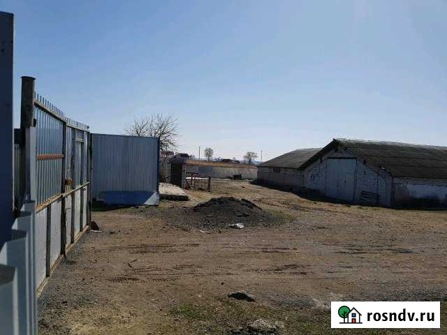 Производственная площадь Добрунь - изображение 1