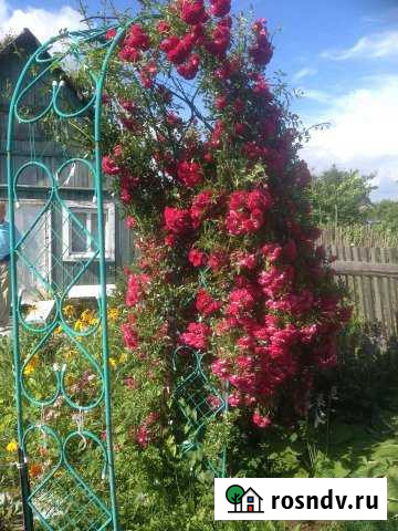 Дача 20 м² на участке 6 сот. на продажу в Смоленске Смоленск - изображение 1