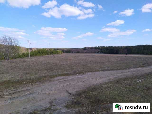 Участок СНТ, ДНП 600 сот. на продажу в Воскресенском Нижегородской области Воскресенское - изображение 1