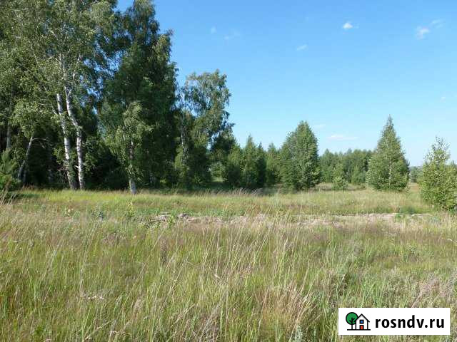 Участок СНТ, ДНП 57 сот. на продажу в Сарове Саров - изображение 1