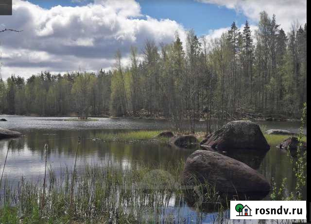 Участок ИЖС 15 сот. на продажу в Сосново Сосново - изображение 1