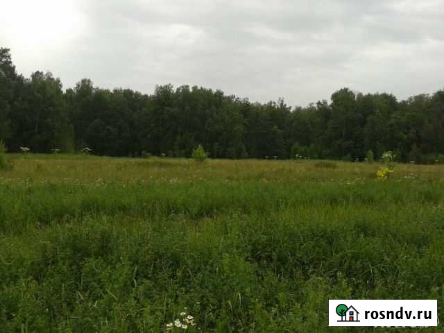 Участок СНТ, ДНП 10 сот. на продажу в Озёрах Озёры - изображение 1